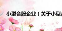 小型合股企業(關于小型合股企業簡介)
