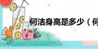 何潔身高是多少(何潔多大)