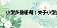 小型多壁珊瑚(關于小型多壁珊瑚簡介)