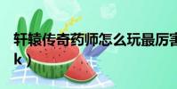軒轅傳奇藥師怎么玩最厲害(軒轅傳奇藥師pk)