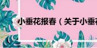 小垂花報春(關于小垂花報春簡介)