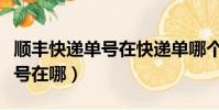 順豐快遞單號在快遞單哪個位置(順豐快遞單號在哪)