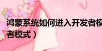 鴻蒙系統如何進入開發者模式(如何進入開發者模式)