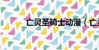 亡靈圣騎士動漫(亡靈圣騎士)