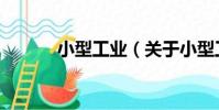 小型工業(關于小型工業簡介)