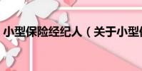 小型保險經紀人(關于小型保險經紀人簡介)