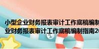 小型企業財務報表審計工作底稿編制指南2013(關于小型企業財務報表審計工作底稿編制指南2013簡介)