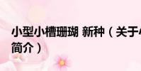 小型小槽珊瑚 新種(關于小型小槽珊瑚 新種簡介)