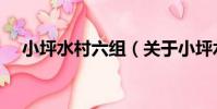 小坪水村六組(關于小坪水村六組簡介)