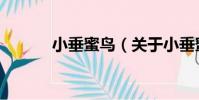 小垂蜜鳥(關于小垂蜜鳥簡介)