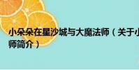 小朵朵在星沙城與大魔法師(關于小朵朵在星沙城與大魔法師簡介)