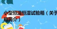 小型恒溫恒濕試驗箱(關于小型恒溫恒濕試驗箱簡介)