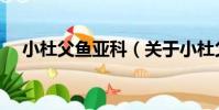 小杜父魚亞科(關于小杜父魚亞科簡介)