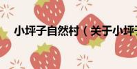 小坪子自然村(關于小坪子自然村簡介)