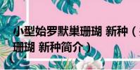 小型始羅默巢珊瑚 新種(關于小型始羅默巢珊瑚 新種簡介)