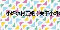 小坪水村五組(關于小坪水村五組簡介)