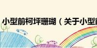 小型前柯坪珊瑚(關于小型前柯坪珊瑚簡介)