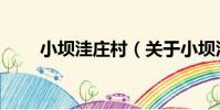 小壩洼莊村(關于小壩洼莊村簡介)