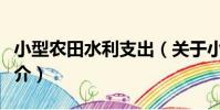 小型農田水利支出(關于小型農田水利支出簡介)