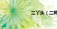 二丫頭(二鴨)
