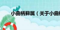 小曲柄蘚屬(關于小曲柄蘚屬簡介)