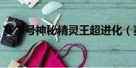 賽爾號神秘精靈王超進化(賽爾號神秘精靈)