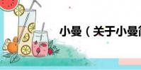 小曼(關于小曼簡介)