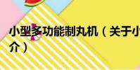 小型多功能制丸機(關于小型多功能制丸機簡介)