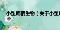 小型底棲生物(關于小型底棲生物簡介)