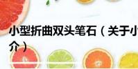 小型折曲雙頭筆石(關于小型折曲雙頭筆石簡介)