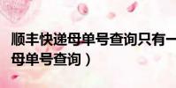 順豐快遞母單號查詢只有一個快遞(順豐快遞母單號查詢)