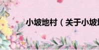 小坡地村(關于小坡地村簡介)
