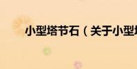 小型塔節石(關于小型塔節石簡介)