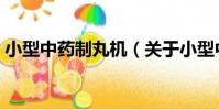 小型中藥制丸機(關于小型中藥制丸機簡介)