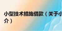 小型技術措施借款(關于小型技術措施借款簡介)