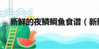新鮮的夜鱗鯛魚食譜(新鮮的夜鱗鯛魚)