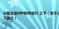小型企業ERP軟件設計 上下(關于小型企業ERP軟件設計 上下簡介)