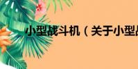 小型戰斗機(關于小型戰斗機簡介)