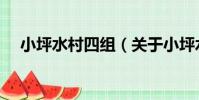 小坪水村四組(關于小坪水村四組簡介)