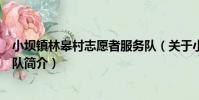 小壩鎮林皋村志愿者服務隊(關于小壩鎮林皋村志愿者服務隊簡介)