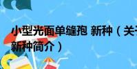 小型光面單縫孢 新種(關于小型光面單縫孢 新種簡介)