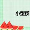 小型楔葉（關于小型楔葉簡介）