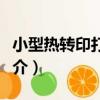 小型熱轉印打印機（關于小型熱轉印打印機簡介）