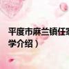 平度市麻蘭鎮任家河岔小學（關于平度市麻蘭鎮任家河岔小學介紹）