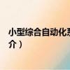 小型綜合自動化系統集成（關于小型綜合自動化系統集成簡介）