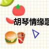胡琴情緣歌詞和歌曲（胡琴情緣歌詞）
