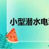 小型潛水電泵（關于小型潛水電泵簡介）