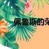 佩魯斯的榮譽多少錢（佩魯斯的榮譽）