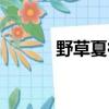 野草夏衍主要內容（野草夏衍）