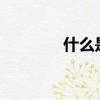 什么是素酒?（什么是素酒）
